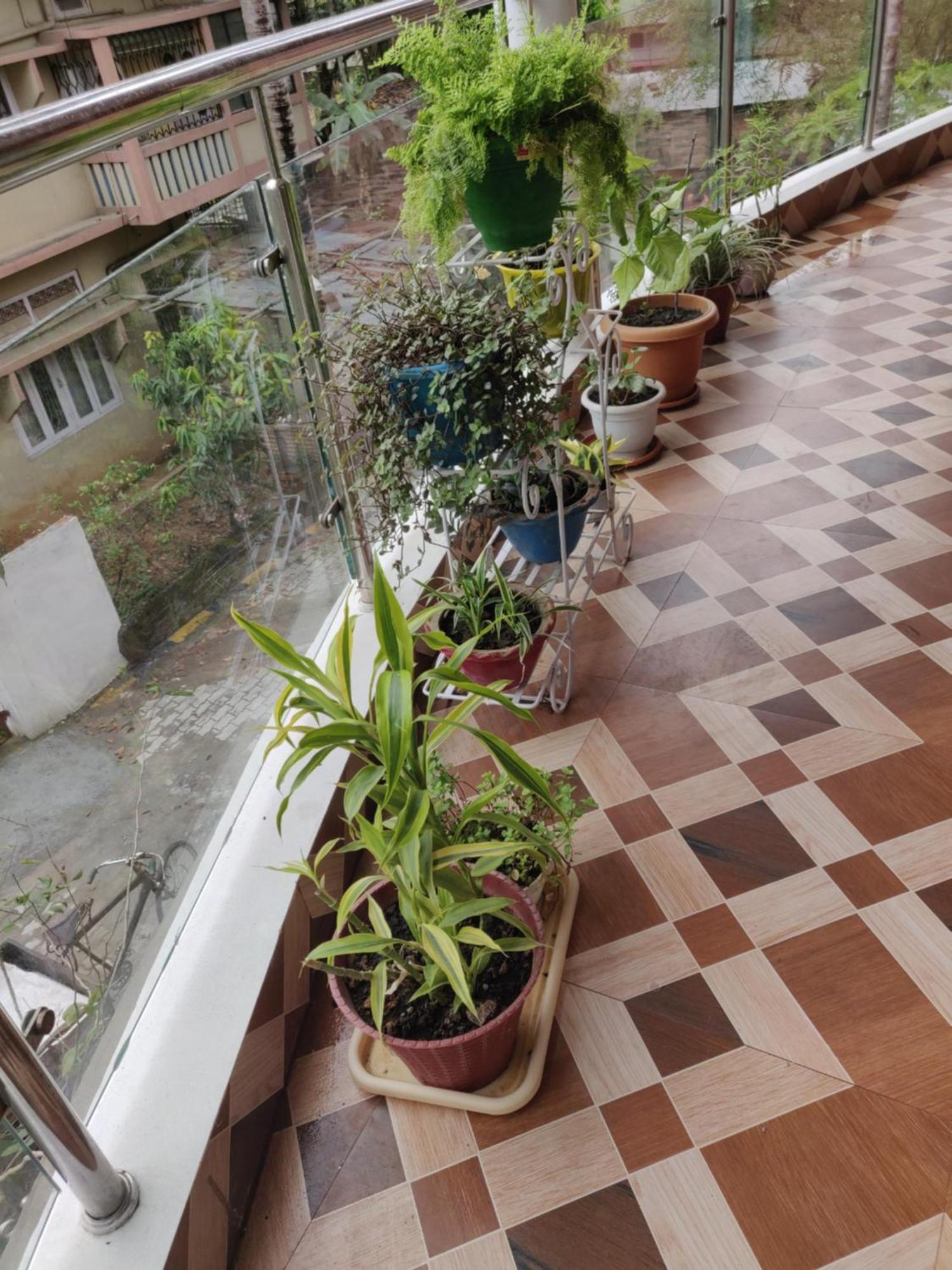 Bandana'S Bed & Breakfast Guwahati Esterno foto
